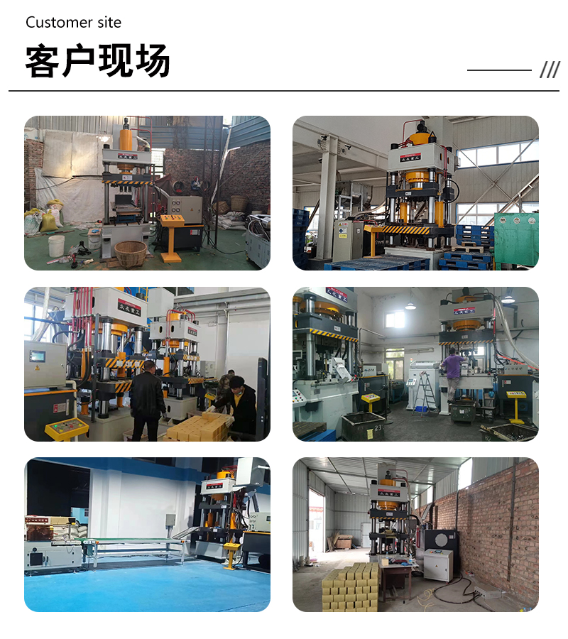 315噸(dun)牛(niu)羊舔(tian)鹽(yan)磚(zhuan)成型(xing)伺(ci)服液(ye)壓機(ji) 315T粉末(mo)壓(ya)塊油(you)壓(ya)機可配(pei)套生産(chan)線客戶(hu)現場(chang).jpg