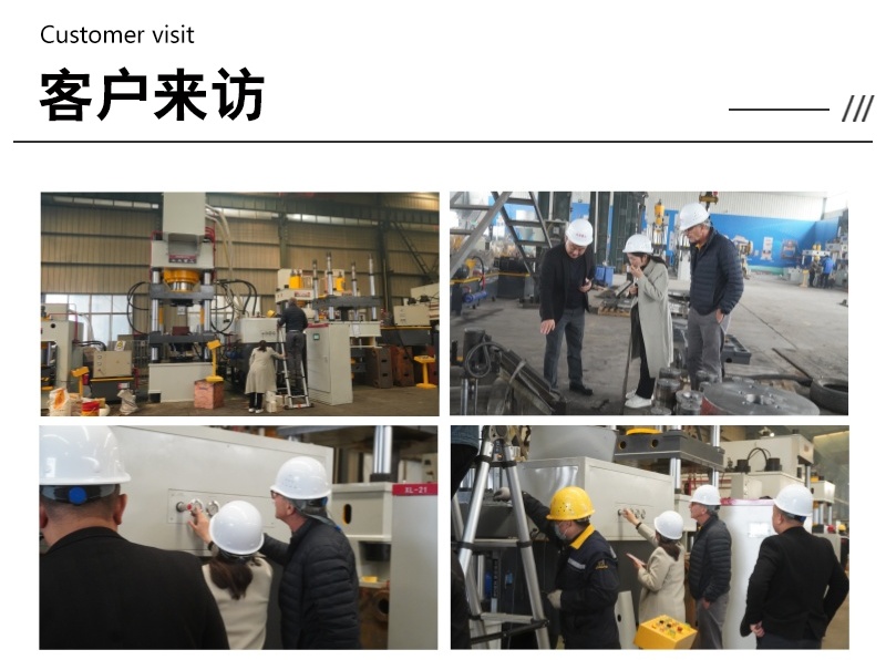 800噸(dun)牛羊(yang)舔磚液(ye)壓機 800T粉(fen)末(mo)成型鹽(yan)磚(zhuan)機(ji)客(ke)戶(hu)來(lai)訪 (2)
